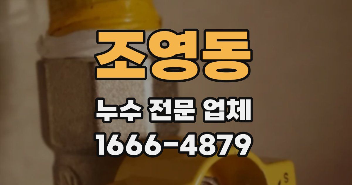 조영동 누수 전문 업체
