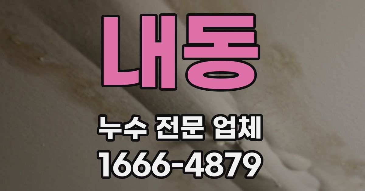 내동 누수 전문 업체