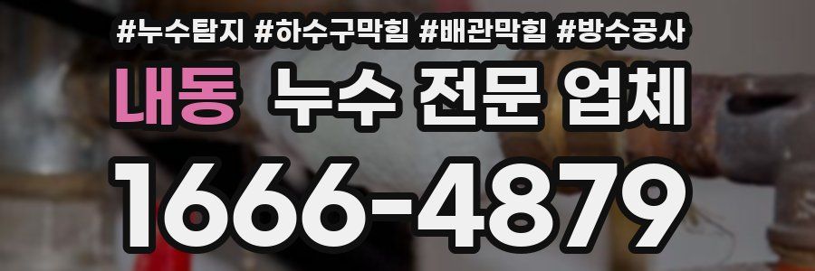 내동 누수 전문 업체