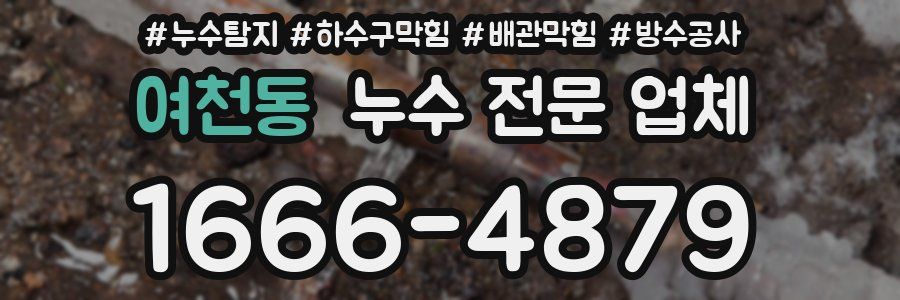 여천동 누수 전문 업체
