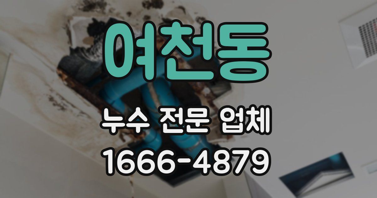 여천동 누수 전문 업체