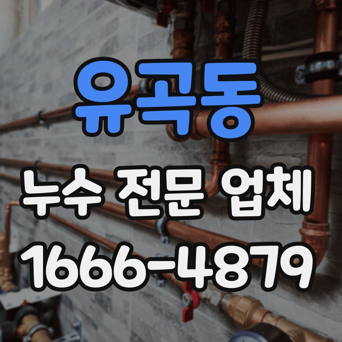 유곡동 누수 전문 업체