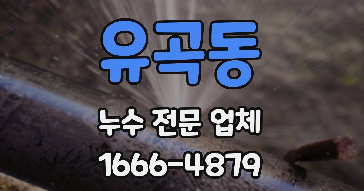 유곡동 누수 전문 업체