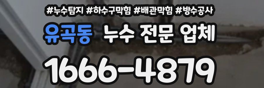 유곡동 누수 전문 업체