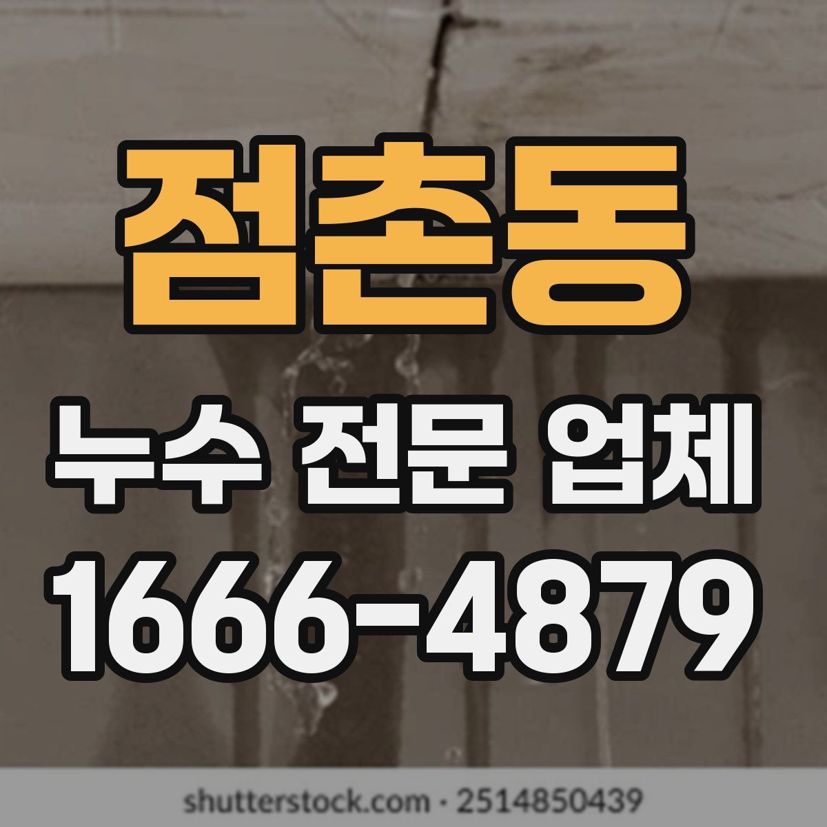 점촌동 누수 전문 업체