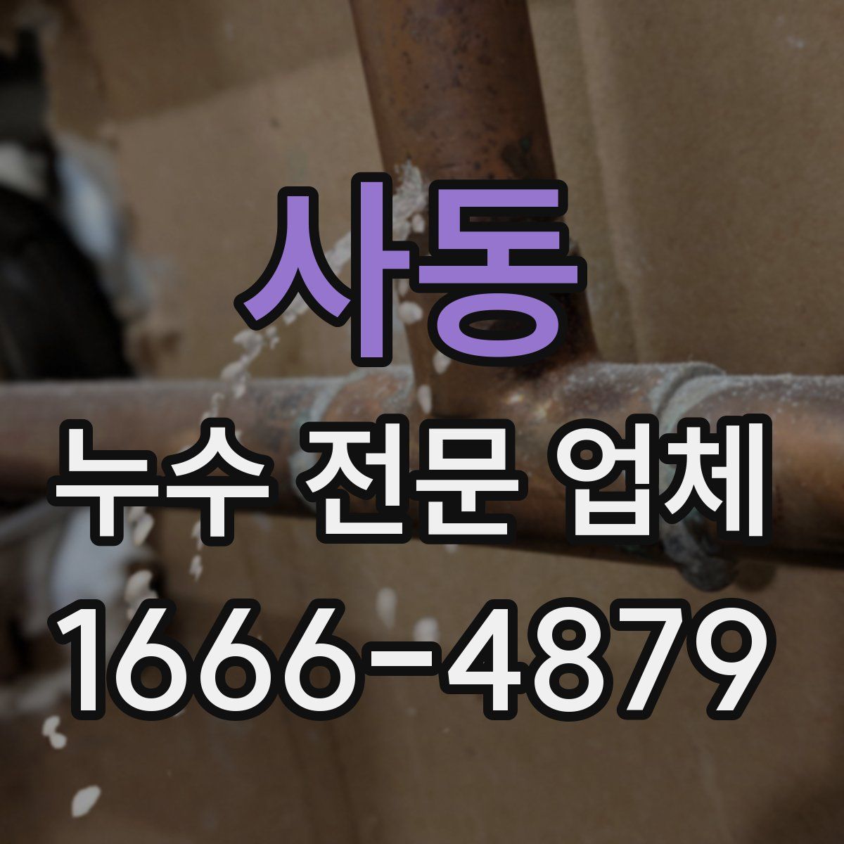 사동 누수 전문 업체