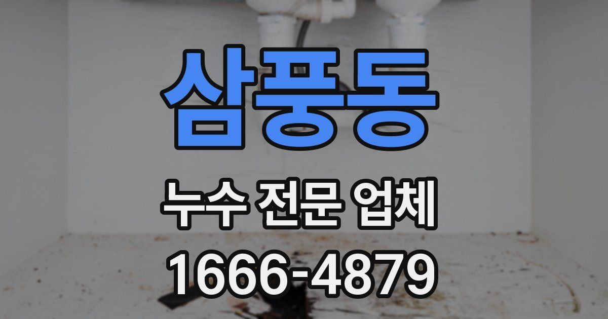 삼풍동 누수 전문 업체