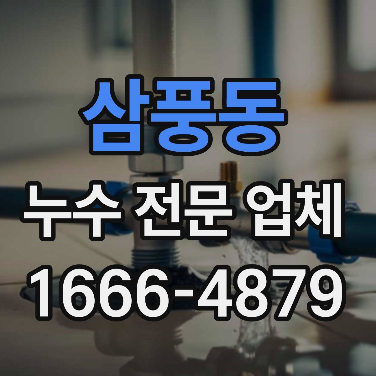 삼풍동 누수 전문 업체