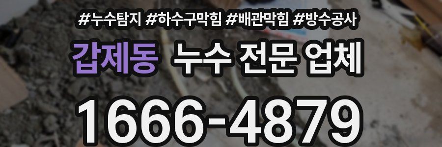 갑제동 누수 전문 업체