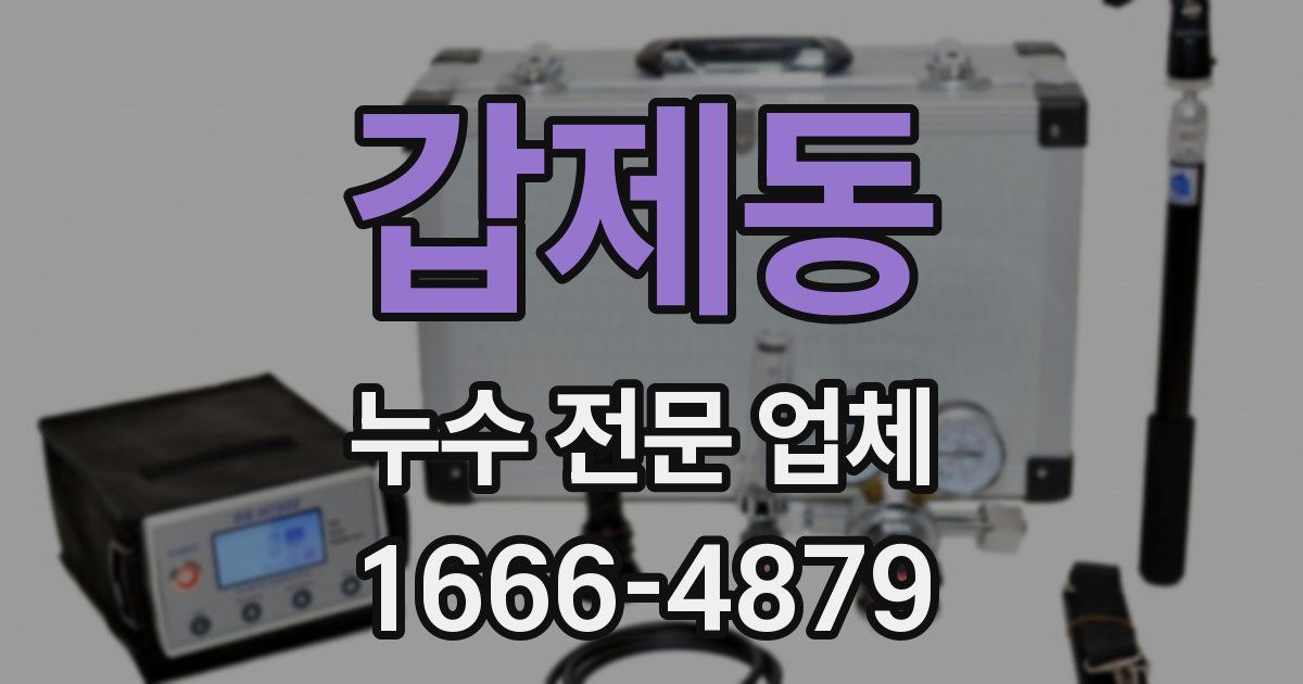 갑제동 누수 전문 업체