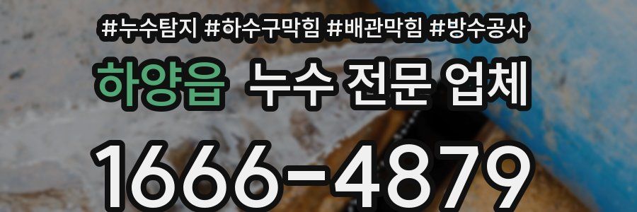 하양읍 누수 전문 업체