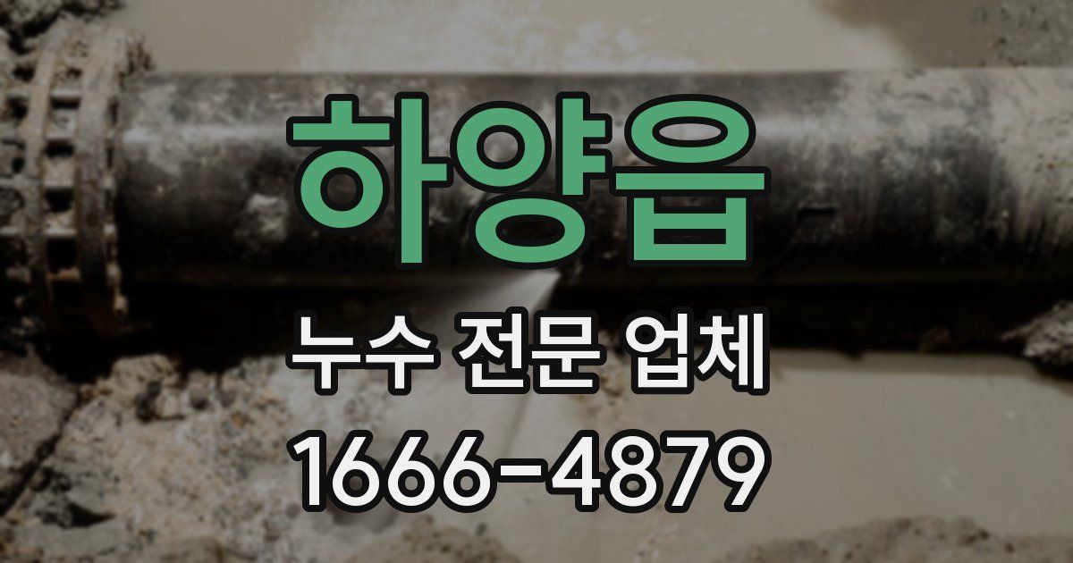 하양읍 누수 전문 업체