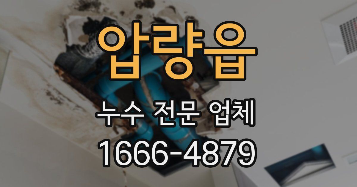 압량읍 누수 전문 업체