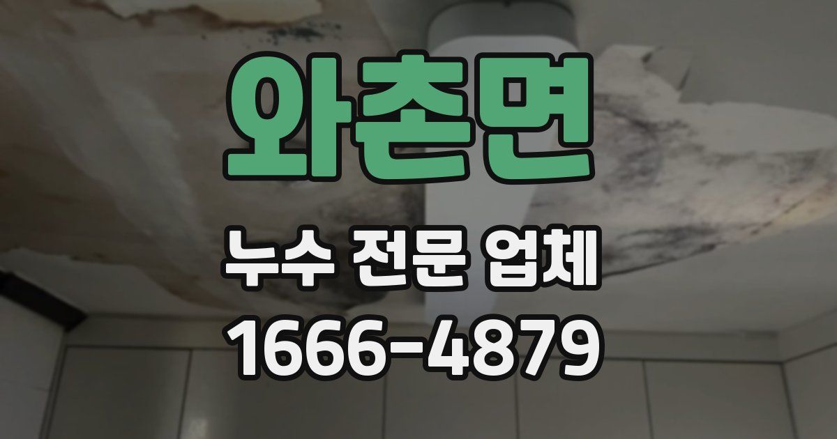 와촌면 누수 전문 업체