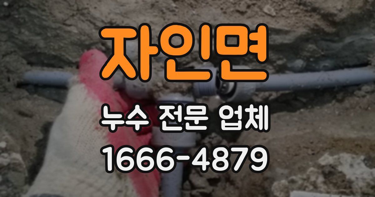 자인면 누수 전문 업체