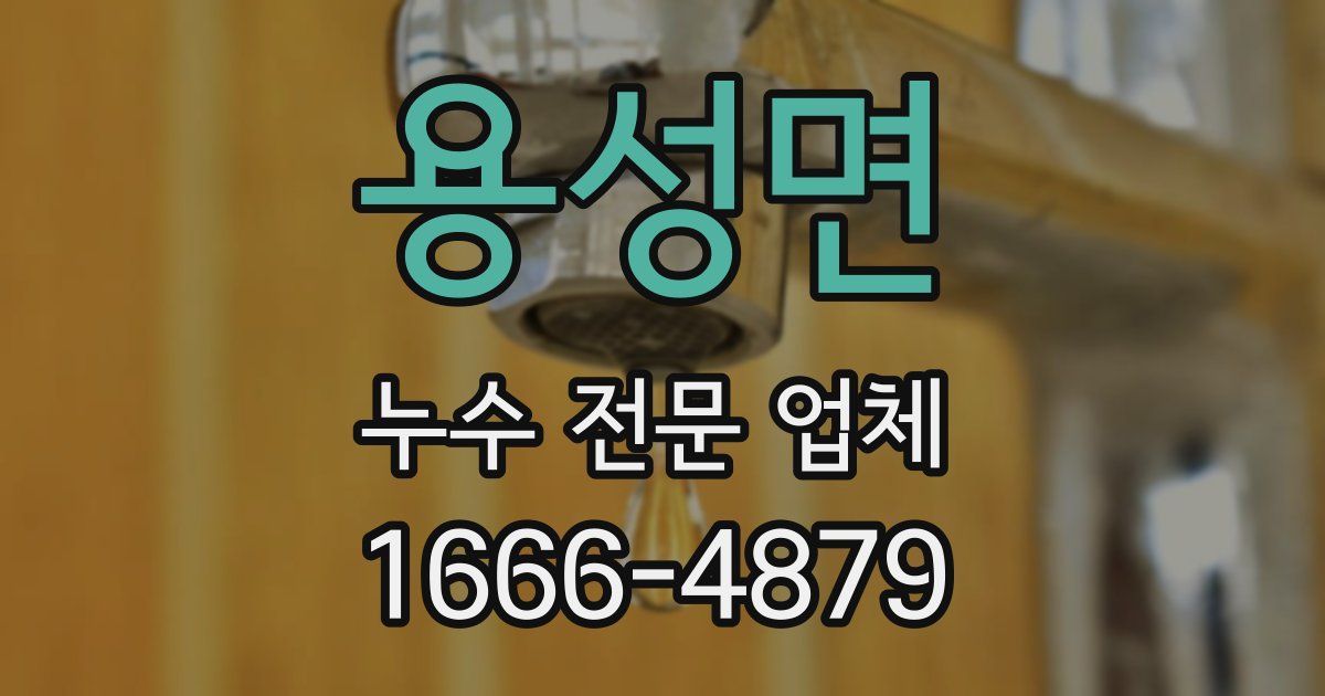 용성면 누수 전문 업체