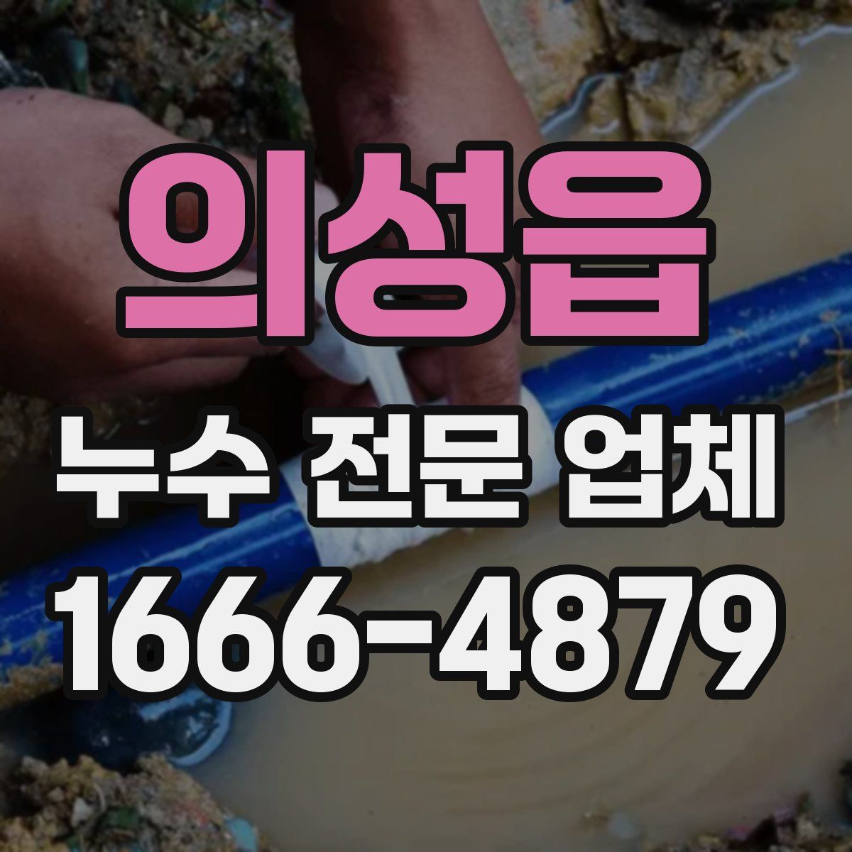 의성읍 누수 전문 업체