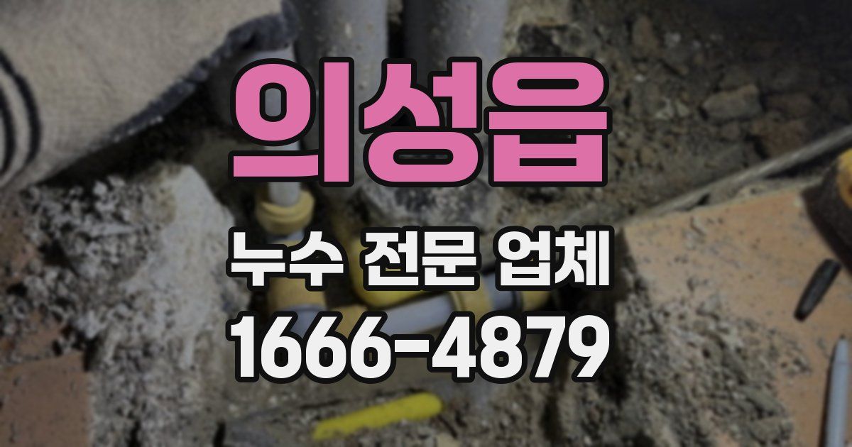 의성읍 누수 전문 업체
