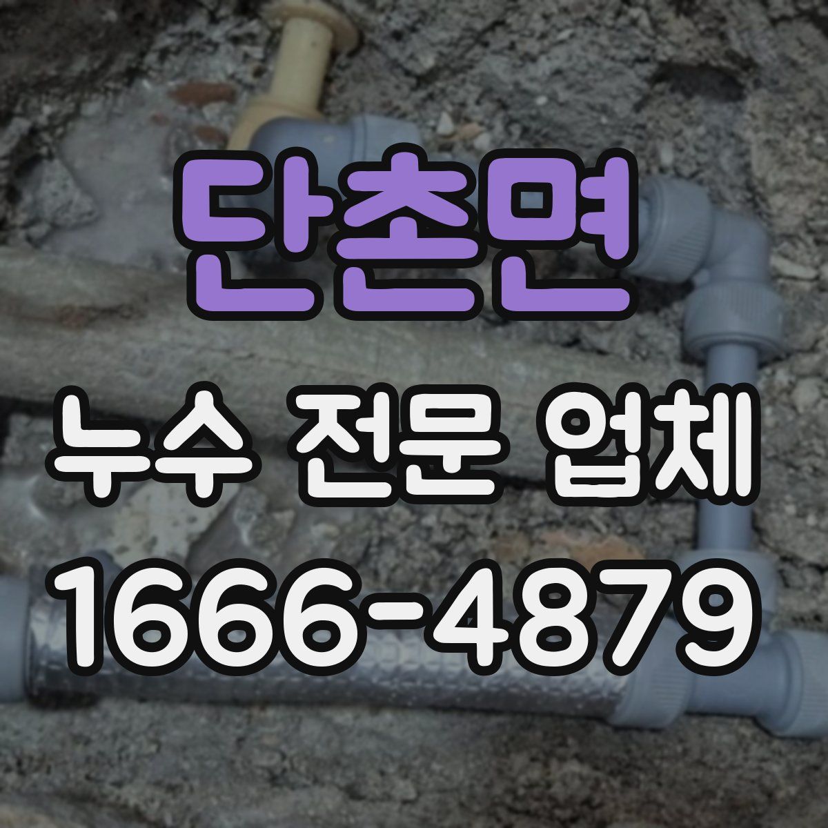 단촌면 누수 전문 업체