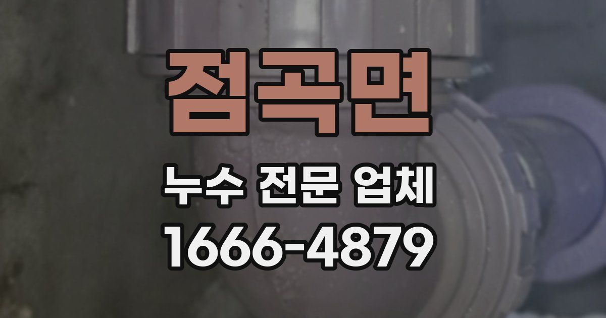 점곡면 누수 전문 업체
