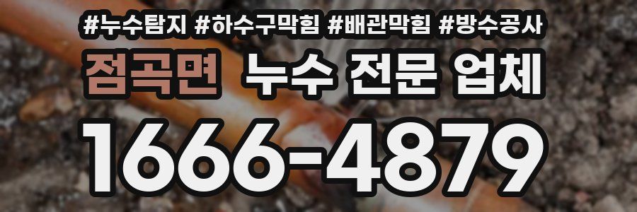 점곡면 누수 전문 업체