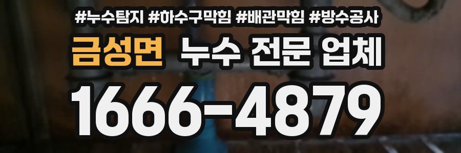 금성면 누수 전문 업체