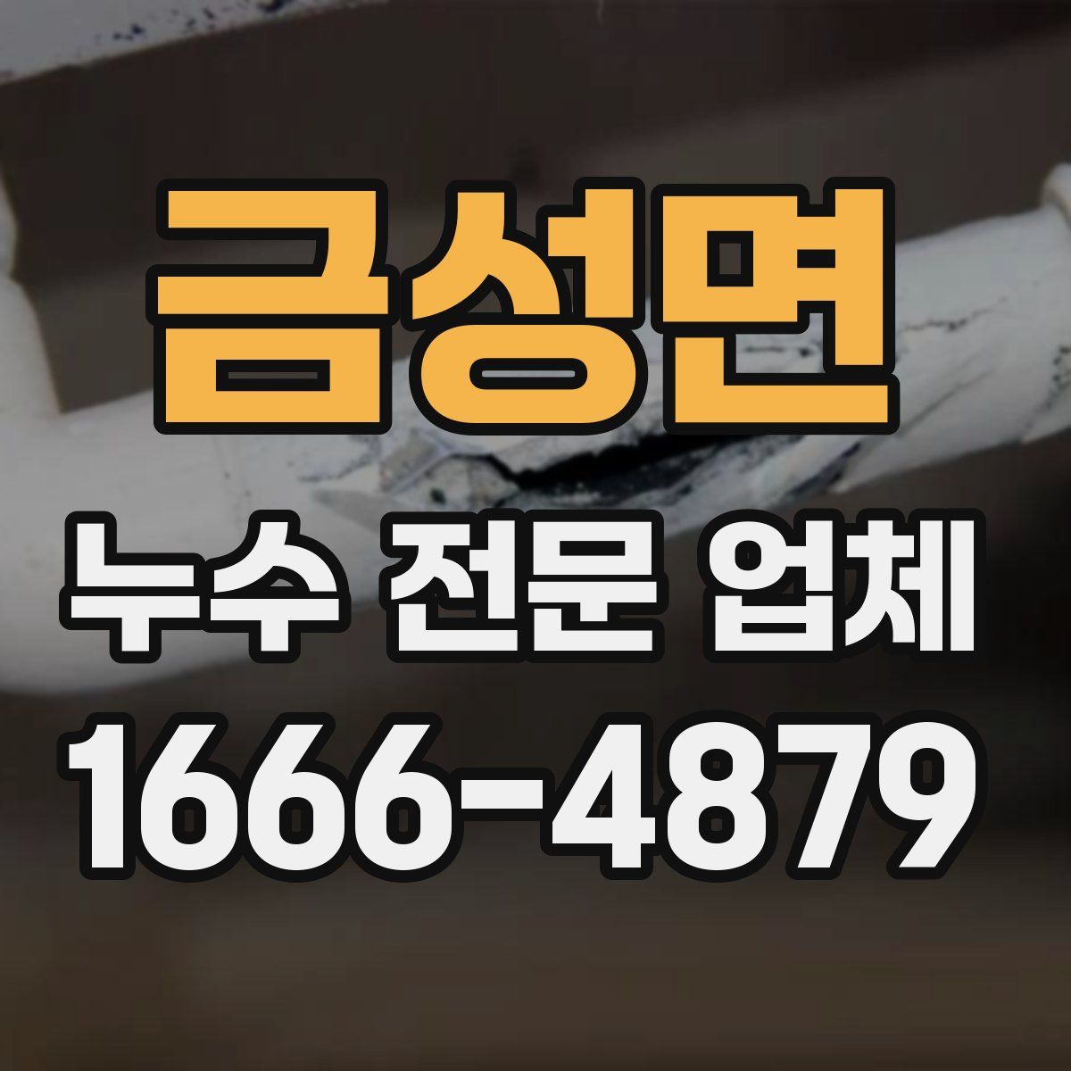 금성면 누수 전문 업체