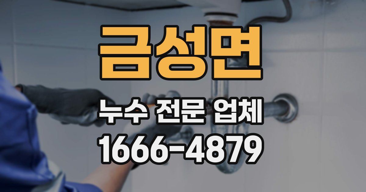 금성면 누수 전문 업체