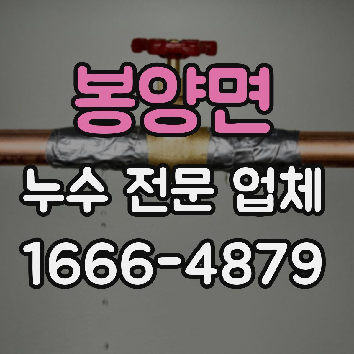 봉양면 누수 전문 업체