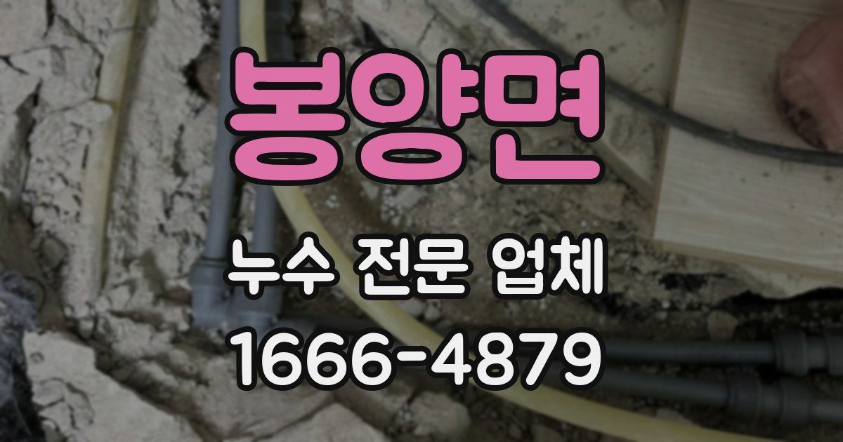 봉양면 누수 전문 업체