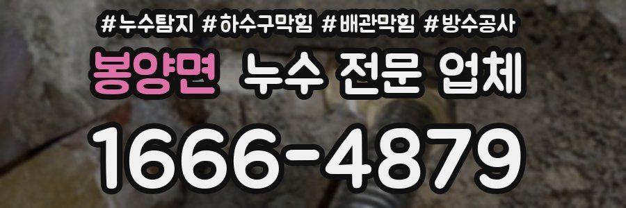봉양면 누수 전문 업체