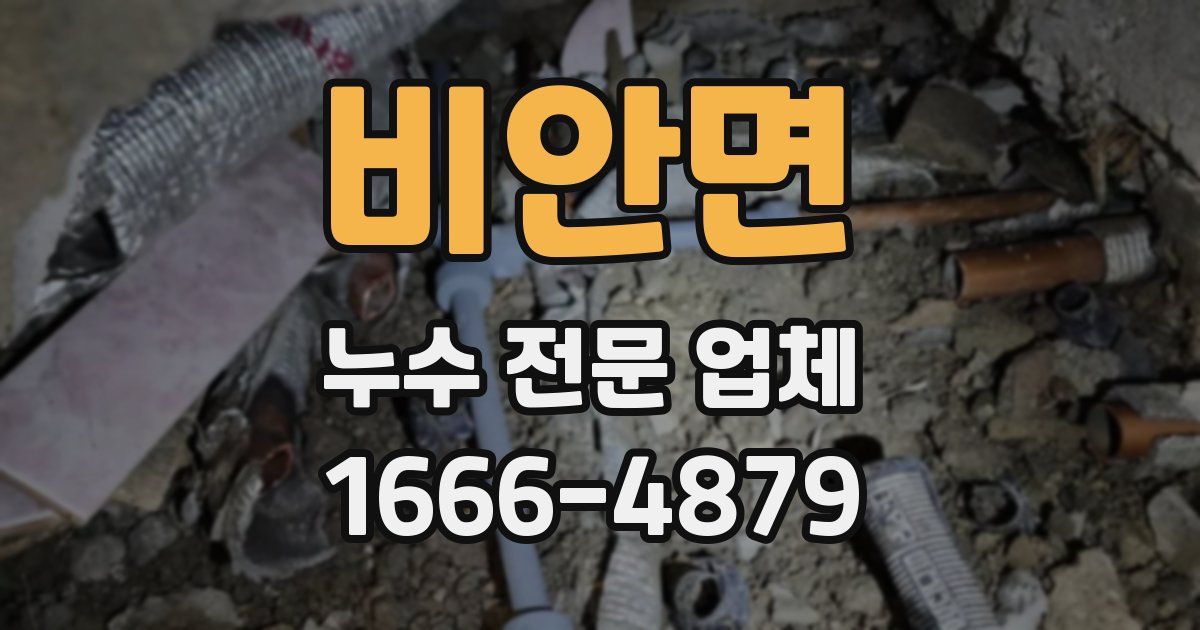 비안면 누수 전문 업체