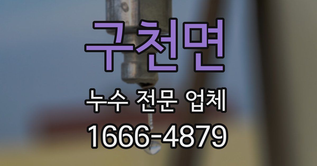 구천면 누수 전문 업체