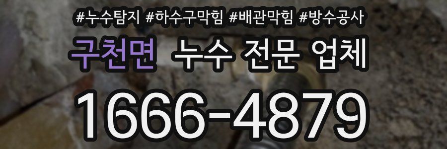 구천면 누수 전문 업체