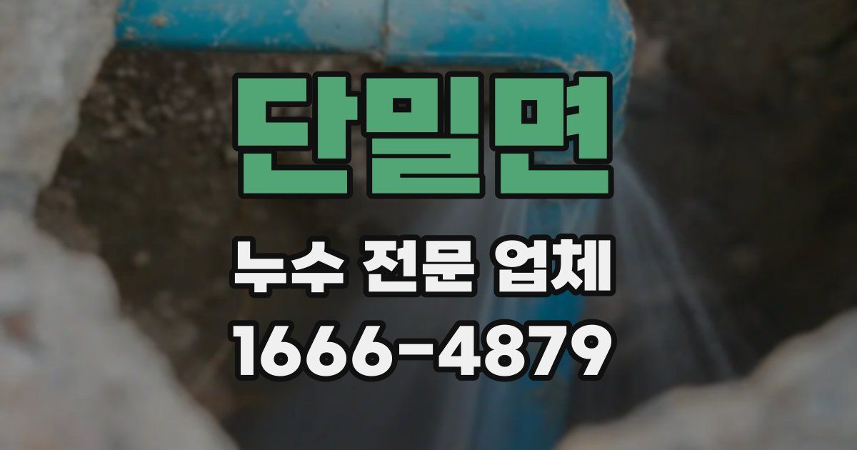단밀면 누수 전문 업체