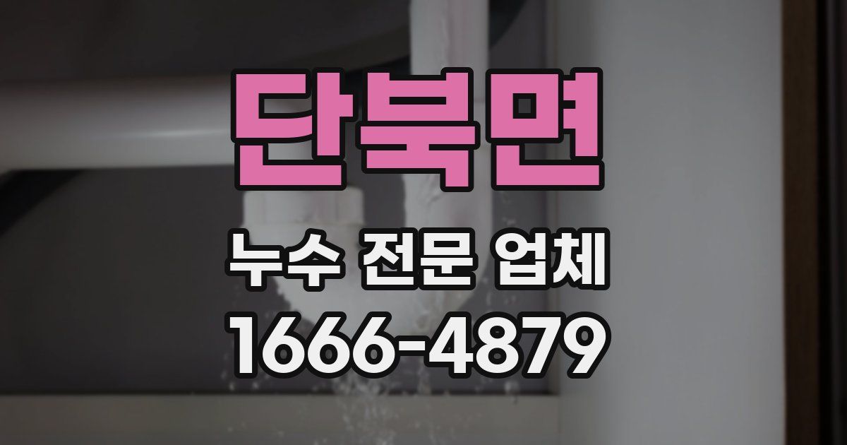 단북면 누수 전문 업체