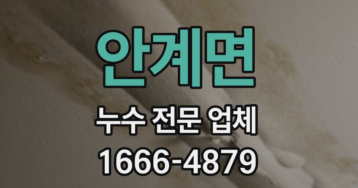 안계면 누수 전문 업체