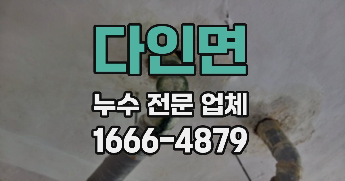 다인면 누수 전문 업체