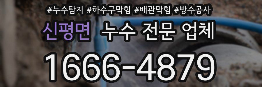 신평면 누수 전문 업체