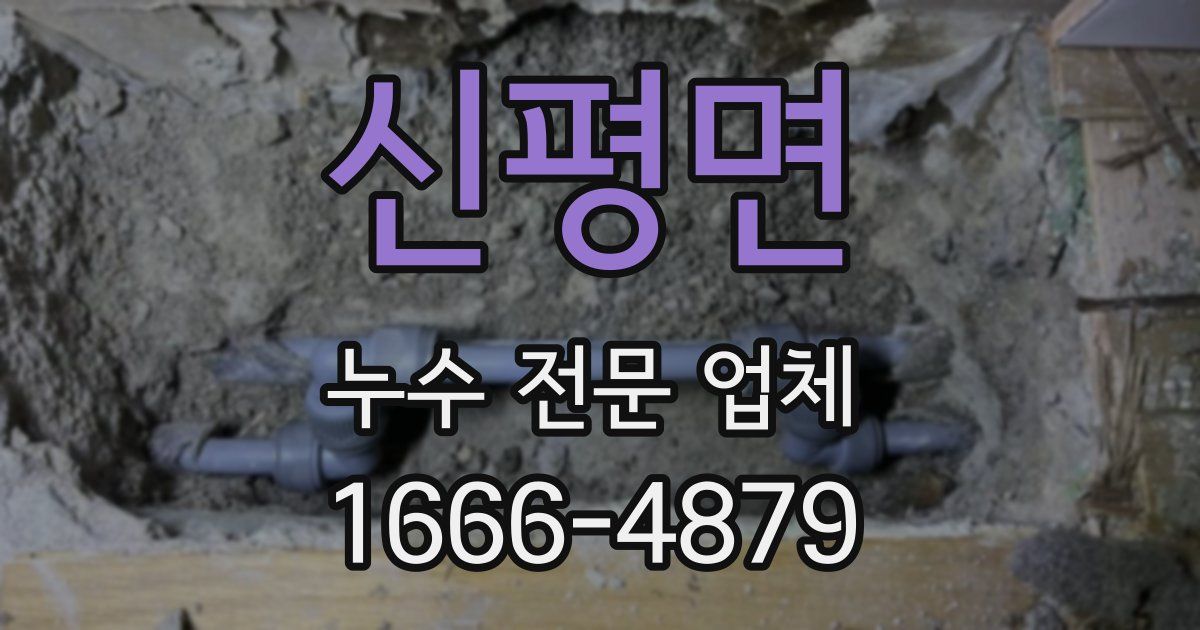 신평면 누수 전문 업체