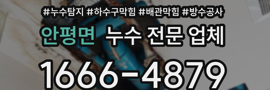안평면 누수 전문 업체