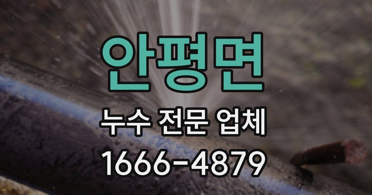 안평면 누수 전문 업체