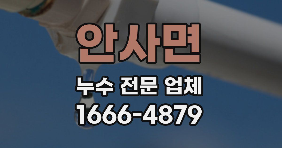 안사면 누수 전문 업체