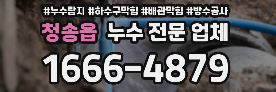 청송읍 누수 전문 업체