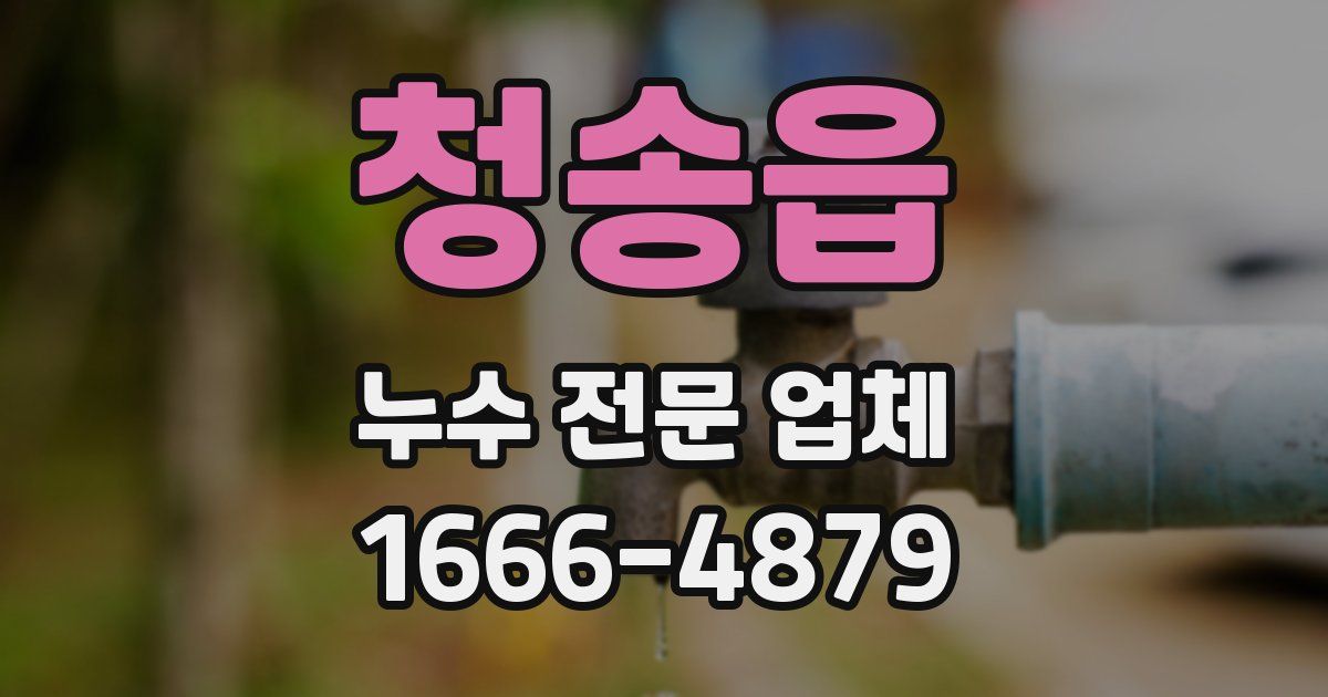 청송읍 누수 전문 업체