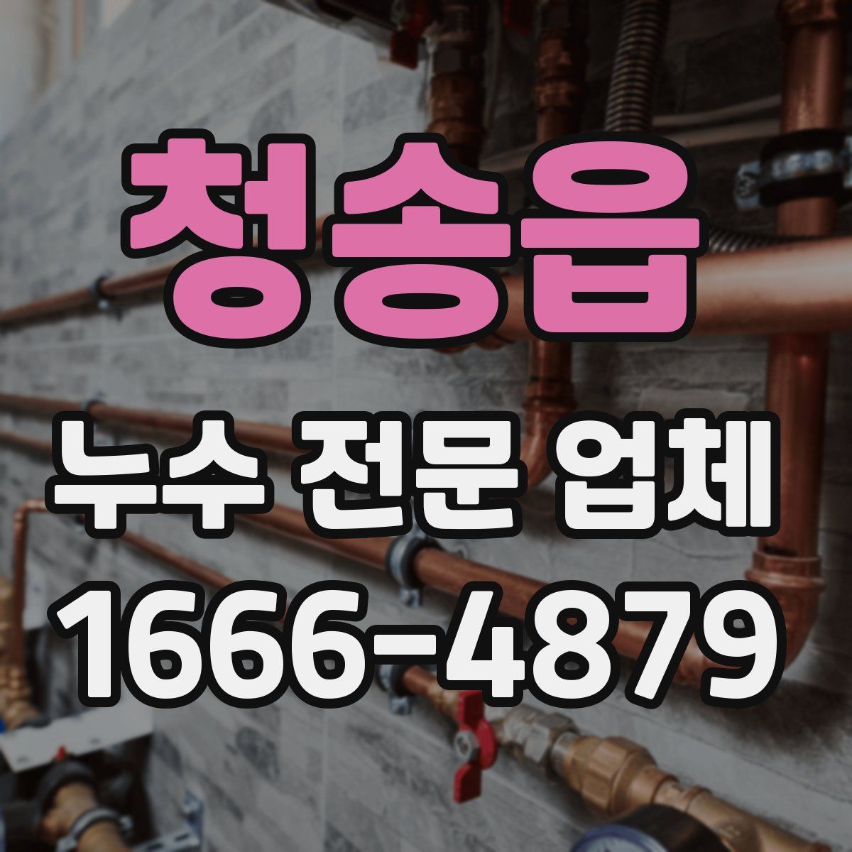 청송읍 누수 전문 업체