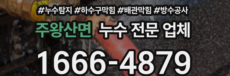 주왕산면 누수 전문 업체