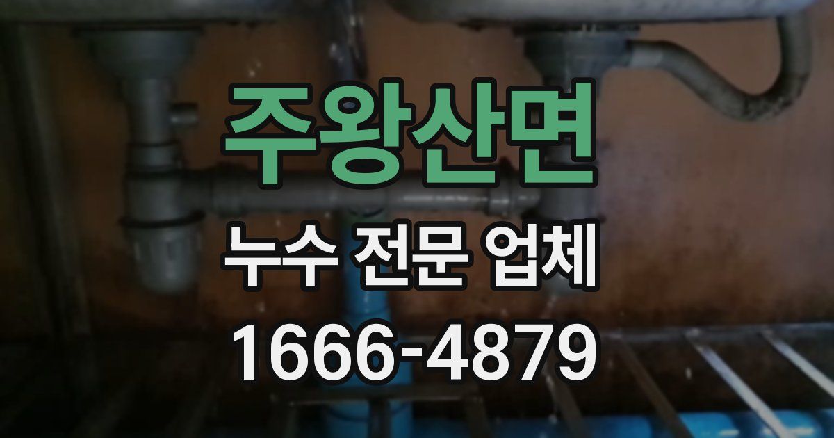 주왕산면 누수 전문 업체