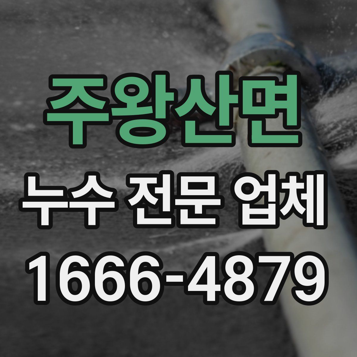 주왕산면 누수 전문 업체