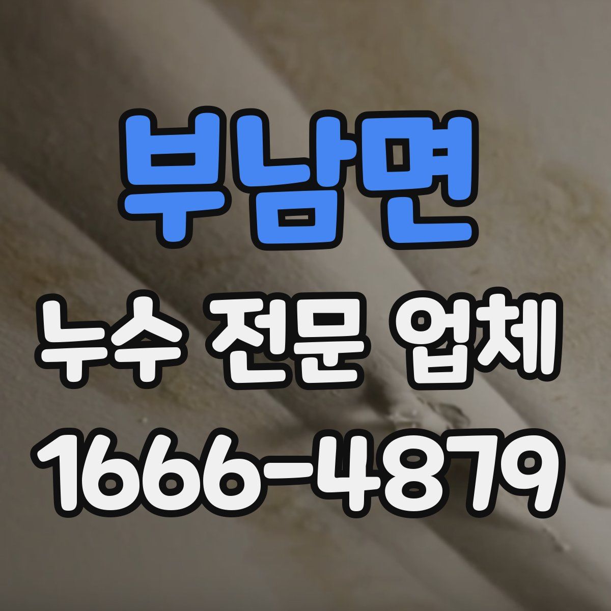 부남면 누수 전문 업체